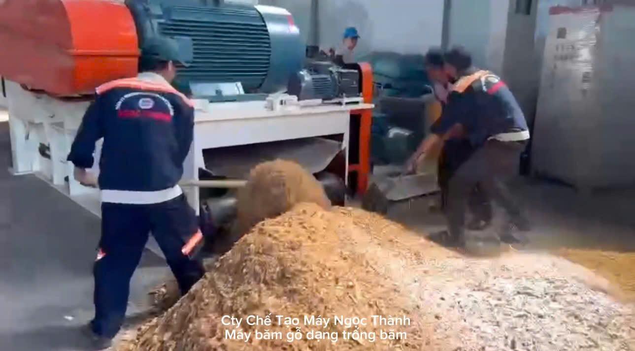 Kiểm tra kích thước dăm trước khi chuyển sang công đoạn tiếp theo 
